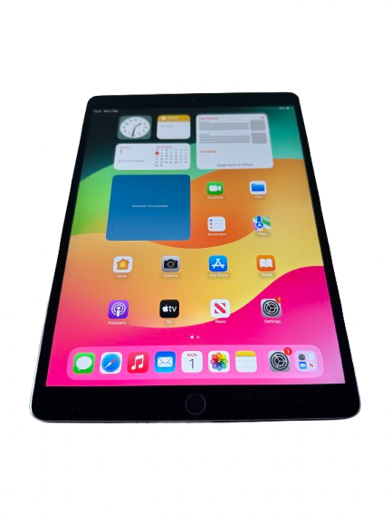 iPad Pro 1st Gen 10.5 256gb Space Grey WiFi