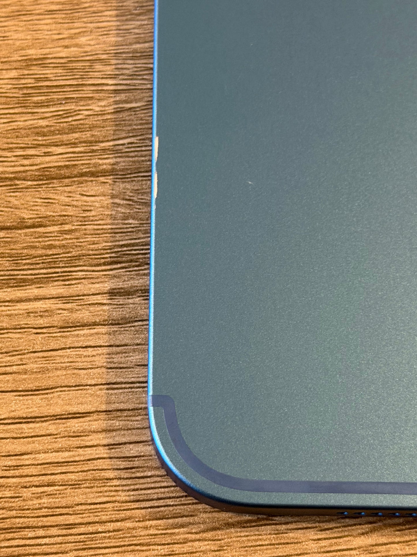 iPad 10th Gen 10.9 256gb W/C 5G Blue Unlocked