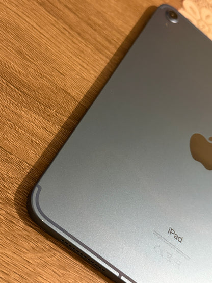 iPad 10th Gen 10.9 256gb W/C 5G Blue Unlocked