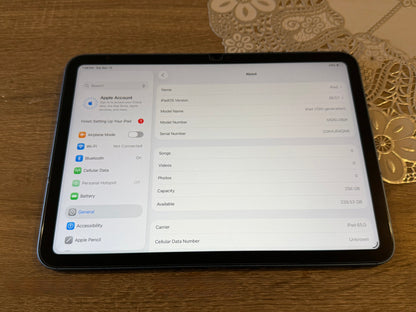 iPad 10th Gen 10.9 256gb W/C 5G Blue Unlocked